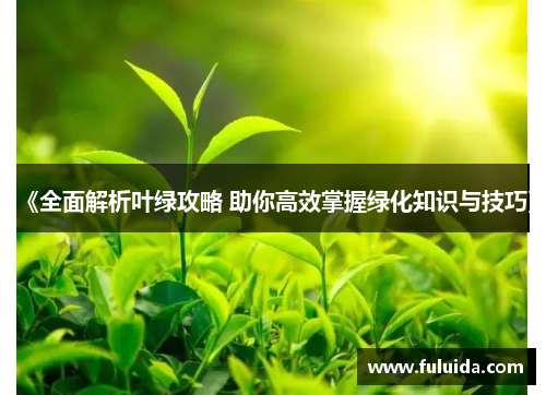 《全面解析叶绿攻略 助你高效掌握绿化知识与技巧》