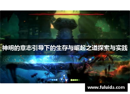 神明的意志引导下的生存与崛起之道探索与实践